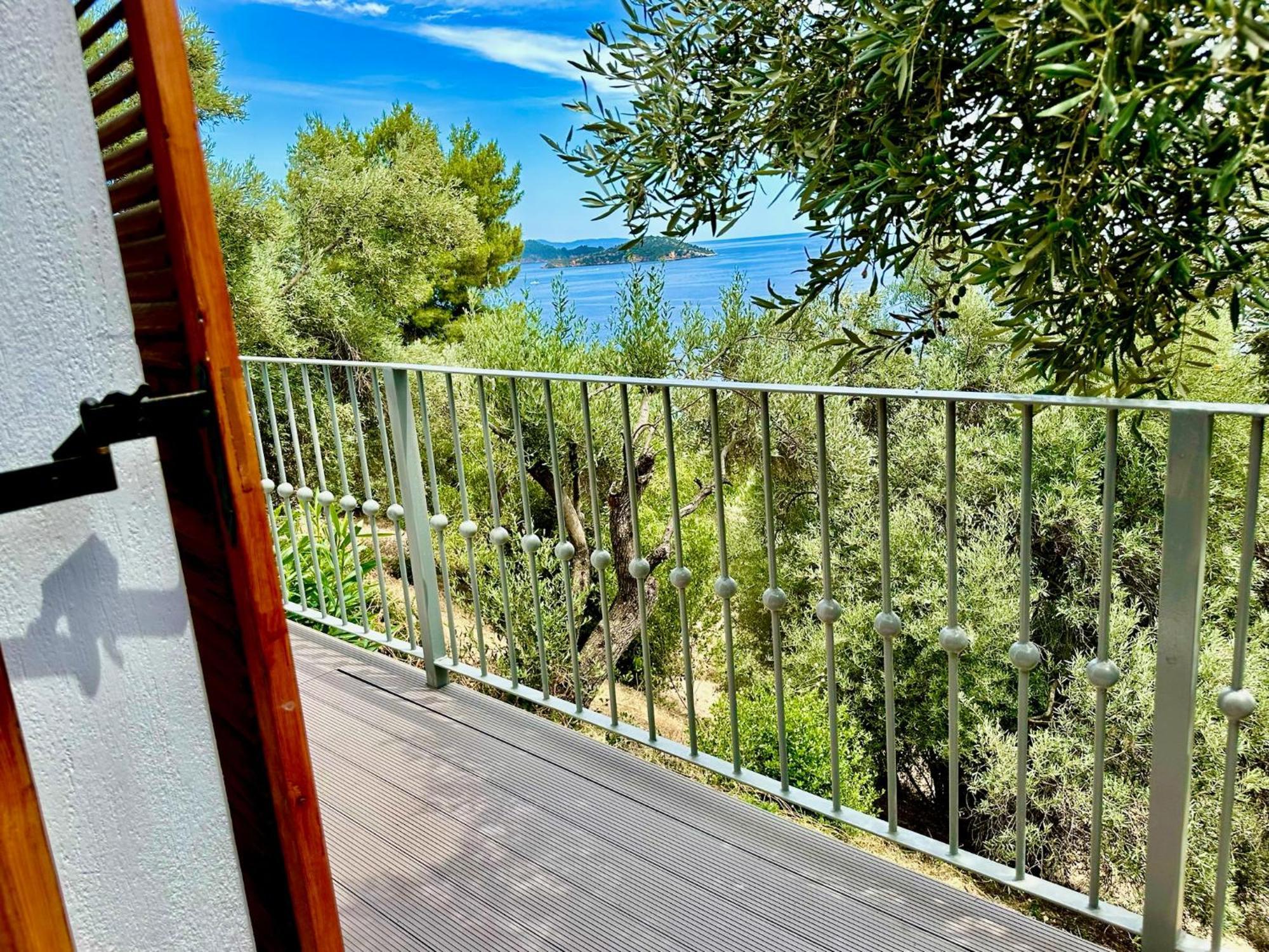 Villa Athena Skiathos 梅加利阿莫斯 外观 照片